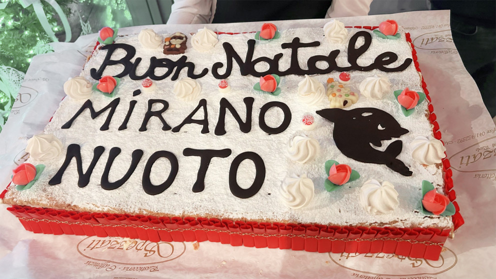 La torta a tema natalizio con la quale ci siamo fatti gli auguri